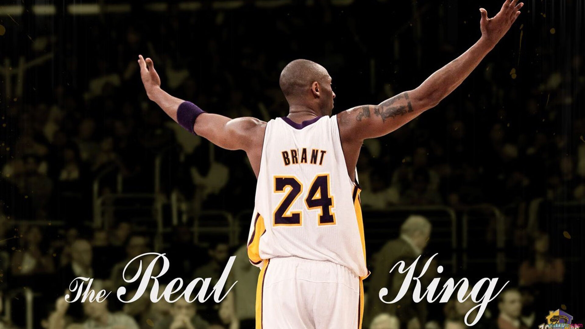 黄鸭组合制胜一击,韩国队力克法国队改写历史